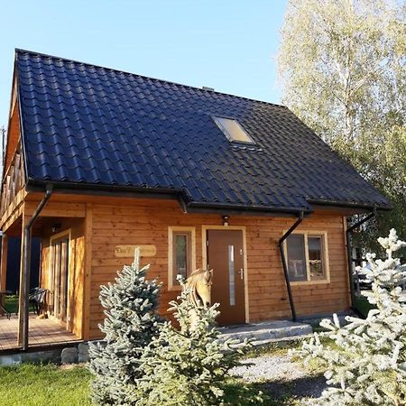Eko Przystanek Villa Kepie Zaleszanskie Dış mekan fotoğraf
